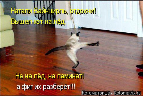 Котоматрица: Натали Вайнцирль, отдохни! Вышел кот на лёд. Не на лёд, на ламинат! а фиг их разберёт!!!