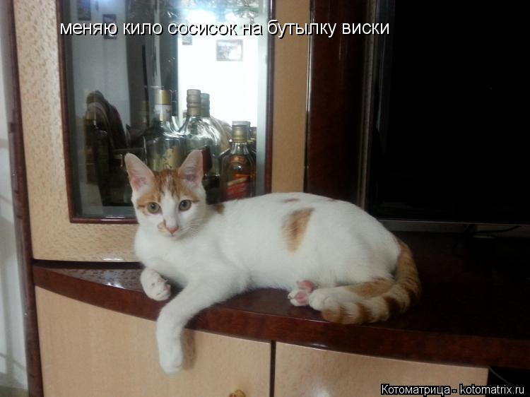 меняю кило сосисок на бутылку виски... Котоматрица: меняю кило сосисок на бутылку виски