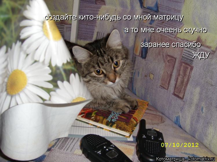 создайте кито-нибудь со мной матрицу а то мне очеень скучно заранее спасибо ЖДУ... Котоматрица: создайте кито-нибудь со мной матрицу а то мне очеень скучно заранее спасибо ЖДУ