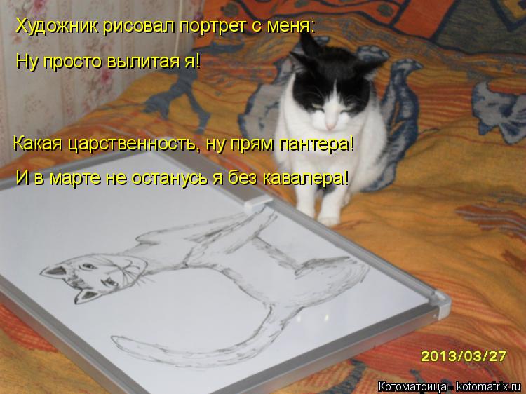 Художник рисовал портрет с меня: Ну просто вылитая я! Какая царственность, ну прям пантера! И в марте... Котоматрица: Художник рисовал портрет с меня: Ну просто вылитая я! Какая царственность, ну прям пантера! И в марте не останусь я без кавалера!