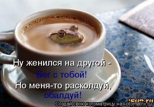 Котоматрица: Бог с тобой! Но меня-то расколдуй, обалдуй! Ну женился на другой -