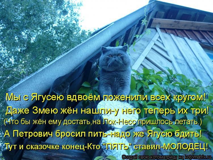 Мы с Ягусею вдвоём поженили всех кругом! Даже Змею жён нашли-у него теперь их три! (Что бы жён ему до... Котоматрица: Мы с Ягусею вдвоём поженили всех кругом! Даже Змею жён нашли-у него теперь их три! (Что бы жён ему достать,на Лох-Несс пришлось летать.) А Петр