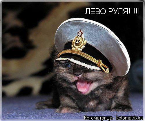 ЛЕВО РУЛЯ!!!!!... Котоматрица: ЛЕВО РУЛЯ!!!!!