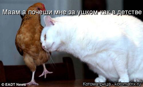Маам а почеши мне за ушком как в детстве... Котоматрица: Маам а почеши мне за ушком как в детстве