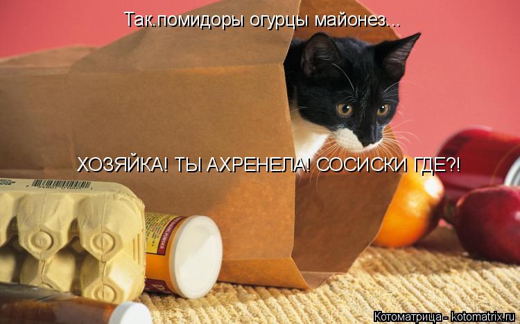 Котоматрица: Так.помидоры огурцы майонез... ХОЗЯЙКА! ТЫ АХРЕНЕЛА! СОСИСКИ ГДЕ?!