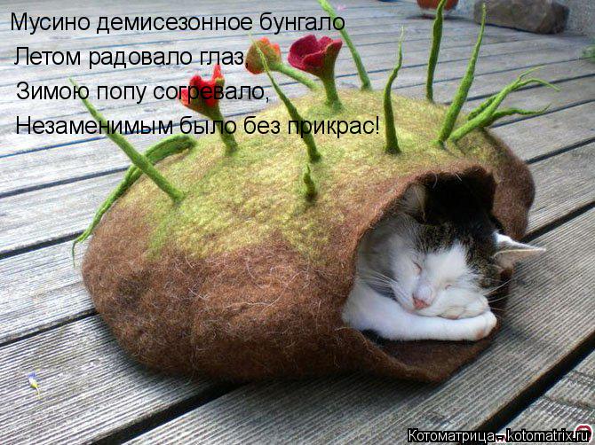 Мусино демисезонное бунгало Летом радовало глаз, Зимою попу согревало, Незаменимым было без прикрас!... Котоматрица: Мусино демисезонное бунгало Летом радовало глаз, Зимою попу согревало, Незаменимым было без прикрас!