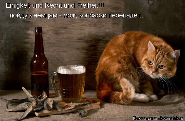 Котоматрица: Einigkeit und Recht und Freiheit!!! пойду к немцам - мож, колбаски перепадёт...