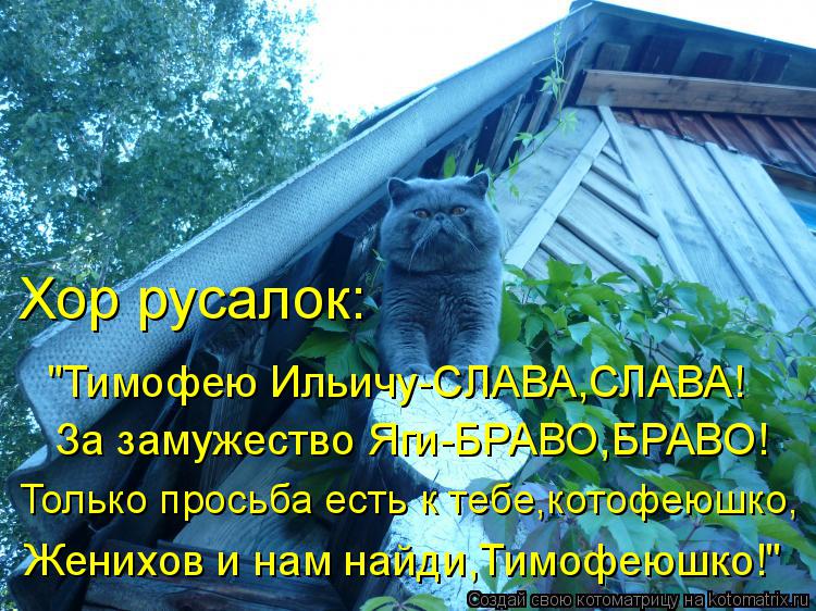 Хор русалок: "Тимофею Ильичу-СЛАВА,СЛАВА! За замужество Яги-БРАВО,БРАВО! Только просьба есть к тебе,к... Котоматрица: Хор русалок: "Тимофею Ильичу-СЛАВА,СЛАВА! За замужество Яги-БРАВО,БРАВО! Только просьба есть к тебе,котофеюшко, Женихов и нам найди,Тимофеюш