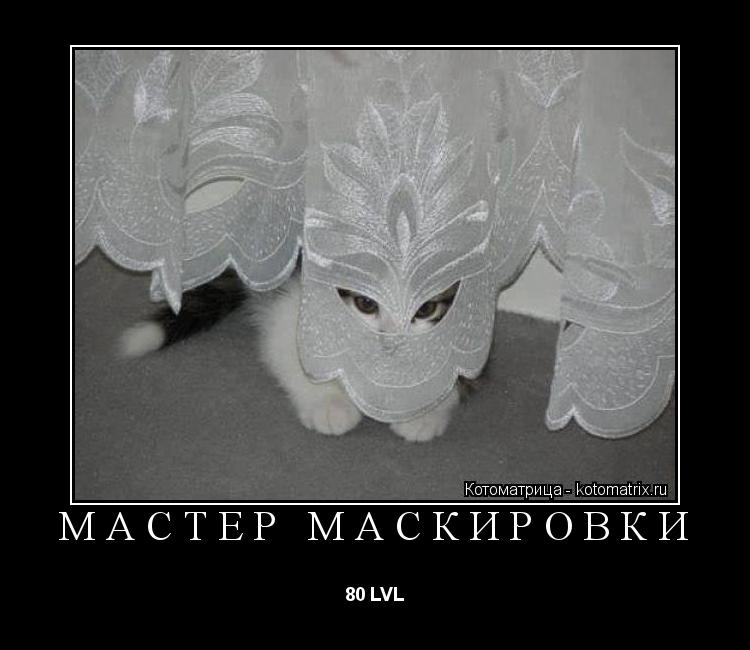 Котоматрица: МАСТЕР МАСКИРОВКИ 80 LVL
