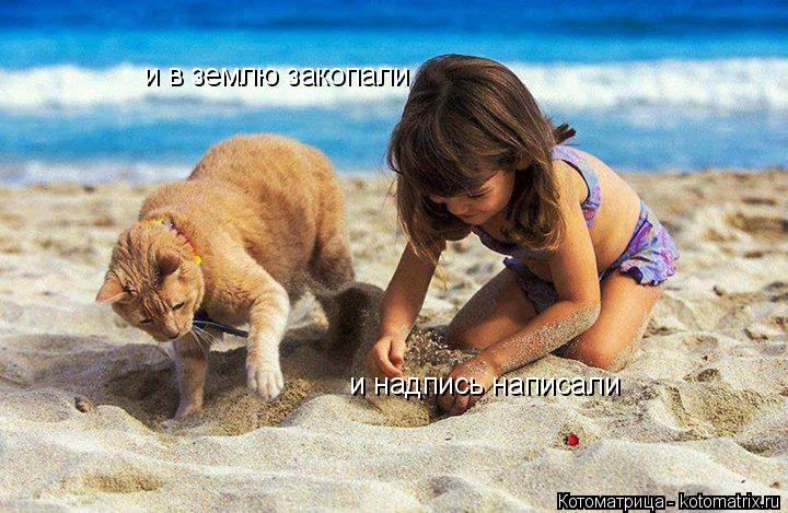 и в землю закопали и надпись написали... Котоматрица: и в землю закопали и надпись написали