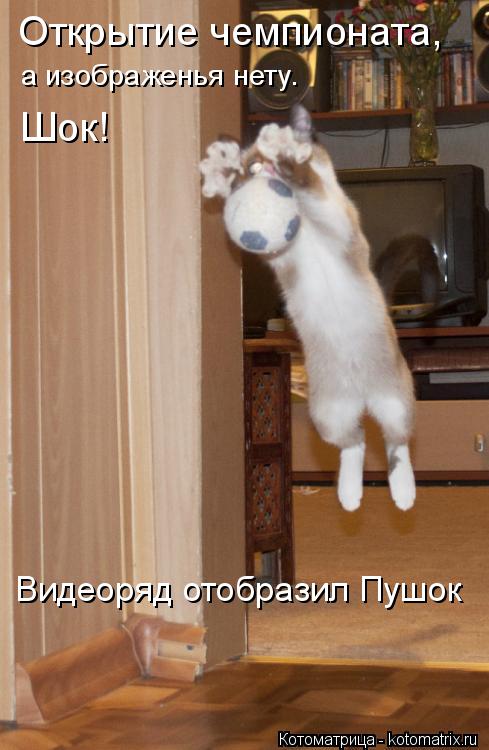 Открытие чемпионата, а изображенья нету. Шок! Видеоряд отобразил Пушок... Котоматрица: Открытие чемпионата, а изображенья нету. Шок! Видеоряд отобразил Пушок