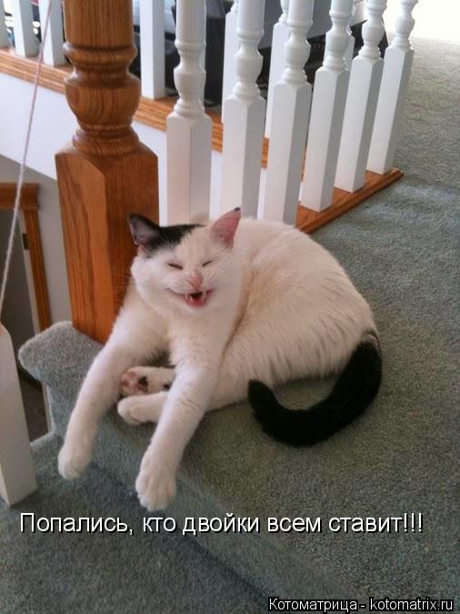 Попались, кто двойки всем ставит!!!... Котоматрица: Попались, кто двойки всем ставит!!!
