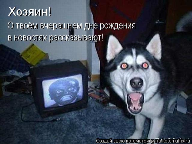 Хозяин! О твоём вчерашнем дне рождения в новостях рассказывают!... Котоматрица: Хозяин! О твоём вчерашнем дне рождения в новостях рассказывают!