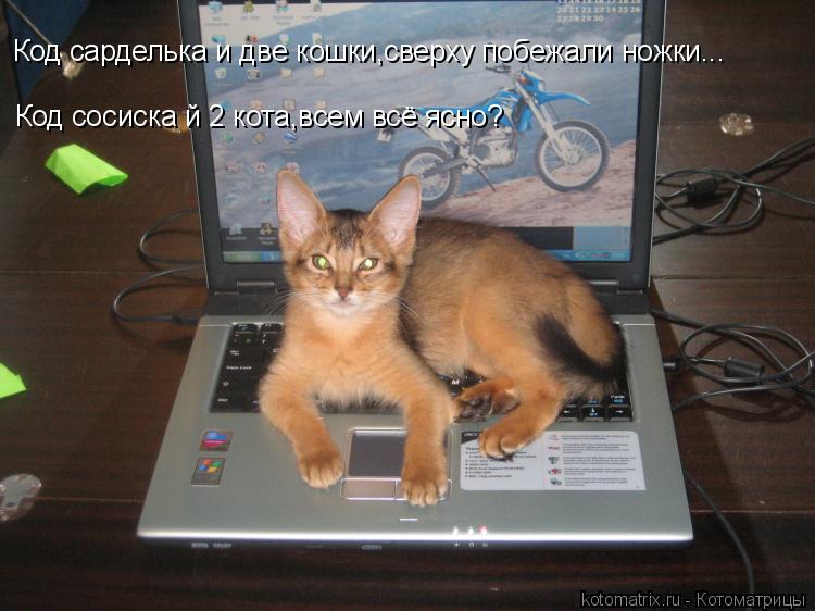 Котоматрица: Код сарделька и две кошки,сверху побежали ножки... Код сосиска й 2 кота,всем всё ясно?