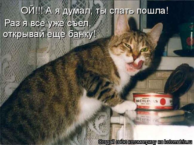 Котоматрица: ОЙ!!! А я думал, ты спать пошла! Раз я все уже съел,  открывай еще банку!