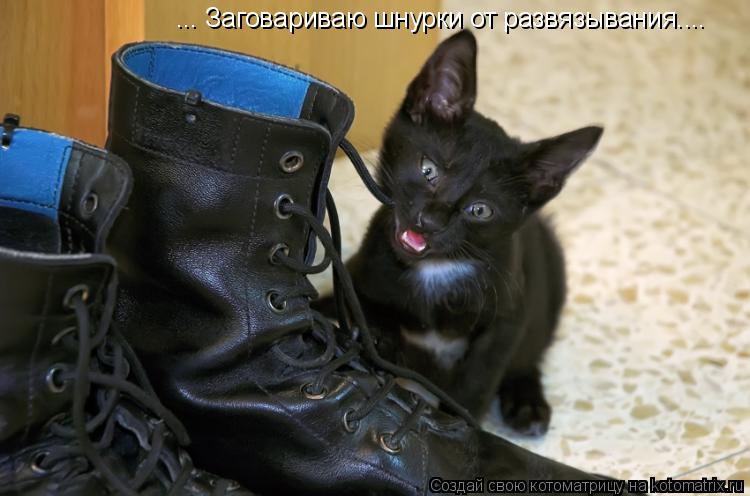 ... Заговариваю шнурки от развязывания....... Котоматрица: ... Заговариваю шнурки от развязывания....