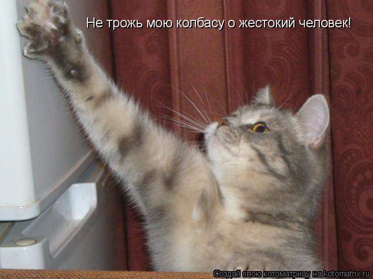 Котоматрица: Не трожь мою колбасу о жестокий человек!