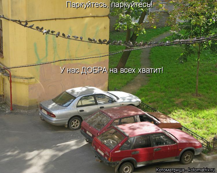 Паркуйтесь, паркуйтесь! У нас ДОБРА на всех хватит!... Котоматрица: Паркуйтесь, паркуйтесь! У нас ДОБРА на всех хватит!