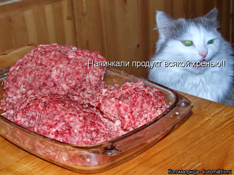 -Напичкали продукт всякой хренью!!... Котоматрица: -Напичкали продукт всякой хренью!!