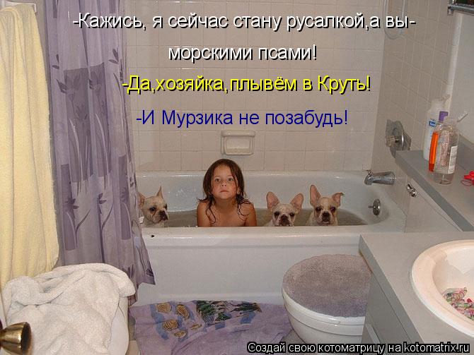 Котоматрица: -Кажись, я сейчас стану русалкой,а вы- морскими псами! -Да,хозяйка,плывём в Круть! -И Мурзика не позабудь!