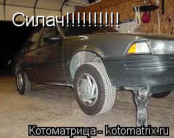 Котоматрица: Силач!!!!!!!!!!