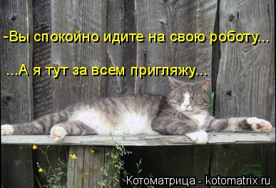 -Вы спокойно идите на свою роботу... ...А я тут за всем пригляжу...... Котоматрица: -Вы спокойно идите на свою роботу... ...А я тут за всем пригляжу...