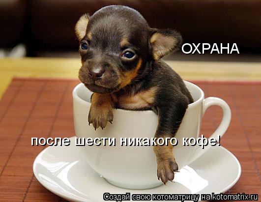 ОХРАНА после шести никакого кофе!... Котоматрица: ОХРАНА после шести никакого кофе!