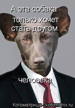 Котоматрица: А эта собака  только хочет стать другом  человека