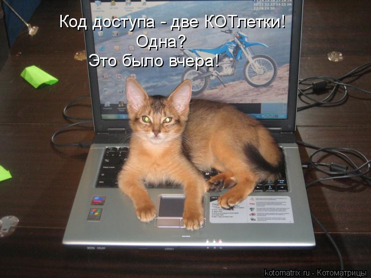 Котоматрица: Код доступа - две КОТлетки! Одна? Это было вчера!