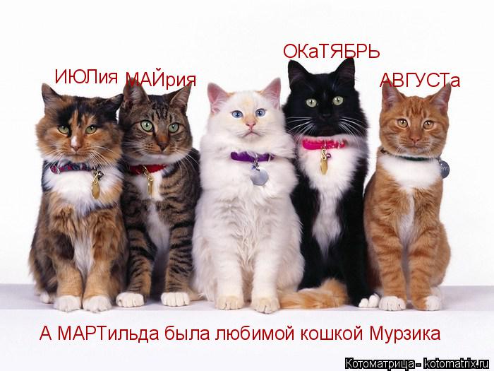 ИЮЛия АВГУСТа МАЙрия ОКаТЯБРЬ А МАРТильда была любимой кошкой Мурзика... Котоматрица: ИЮЛия АВГУСТа МАЙрия ОКаТЯБРЬ А МАРТильда была любимой кошкой Мурзика