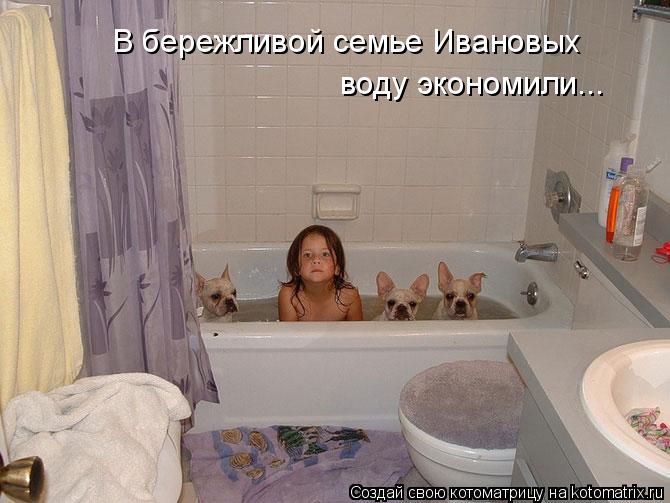 Котоматрица: В бережливой семье Ивановых воду экономили...
