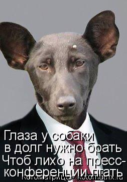 конференции лгать Чтоб лихо на пресс- в долг нужно брать Глаза у собаки... Котоматрица: конференции лгать Чтоб лихо на пресс- в долг нужно брать Глаза у собаки