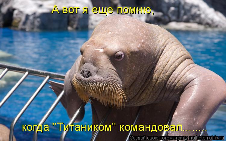 Котоматрица: А вот я еще помню, когда "Титаником" командовал........