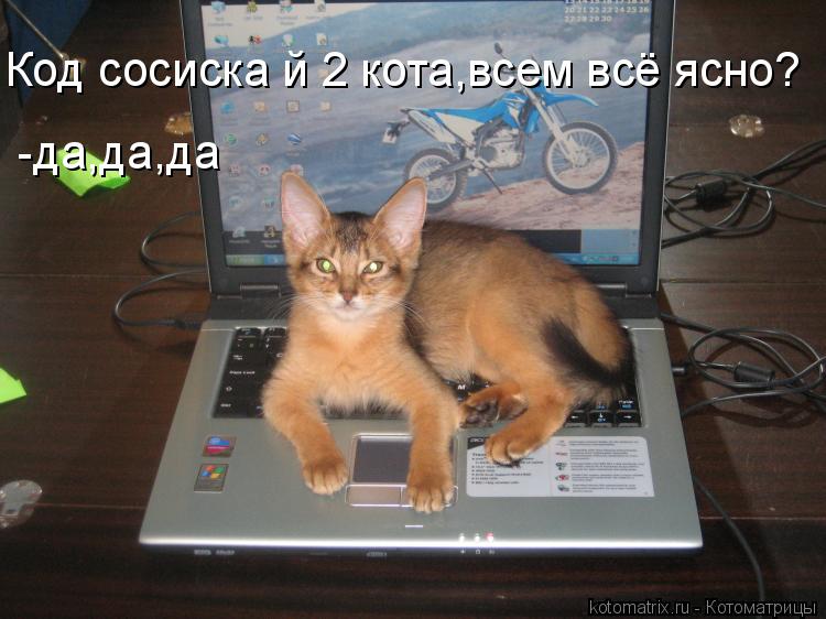 Котоматрица: Код сосиска й 2 кота,всем всё ясно? -да,да,да