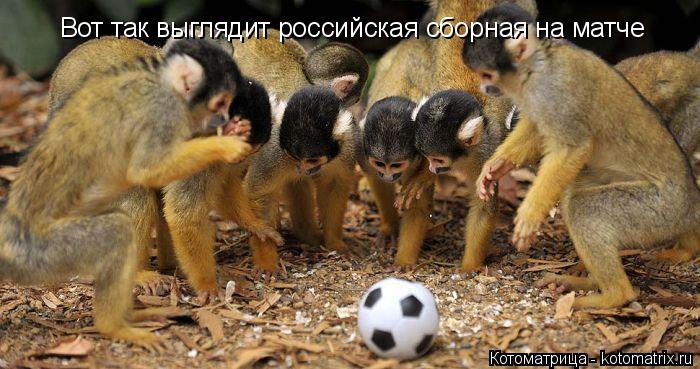 Котоматрица: Вот так выглядит российская сборная на матче