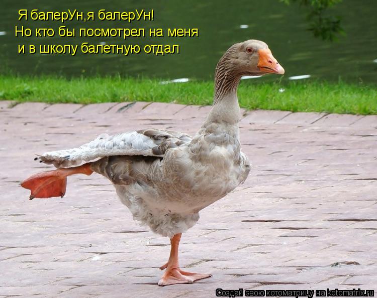 Я балерУн,я балерУн! Но кто бы посмотрел на меня и в школу балетную отдал... Котоматрица: Я балерУн,я балерУн! Но кто бы посмотрел на меня и в школу балетную отдал