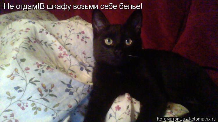 Котоматрица: -Не отдам!В шкафу возьми себе бельё!