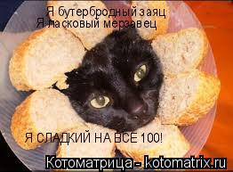 Котоматрица: Я бутербродный заяц Я ласковый мерзавец Я СЛАДКИЙ НА ВСЕ 100!