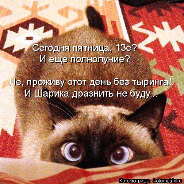Сегодня пятница, 13е? И еще полнолуние? Не, проживу этот день без тыринга! И Шарика дразнить не буду... Котоматрица: Сегодня пятница, 13е? И еще полнолуние? Не, проживу этот день без тыринга! И Шарика дразнить не буду...