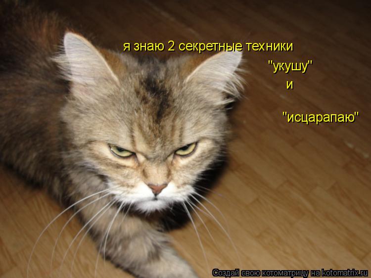 "укушу" и я знаю 2 секретные техники "исцарапаю"... Котоматрица: "укушу" и я знаю 2 секретные техники "исцарапаю"