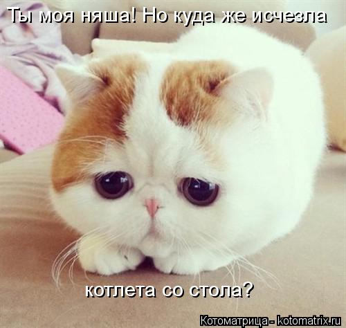 Ты моя няша! Но куда же исчезла котлета со стола?... Котоматрица: Ты моя няша! Но куда же исчезла котлета со стола?