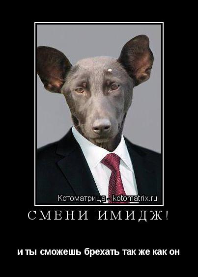 Котоматрица: СМЕНИ ИМИДЖ! и ты сможешь брехать так же как он