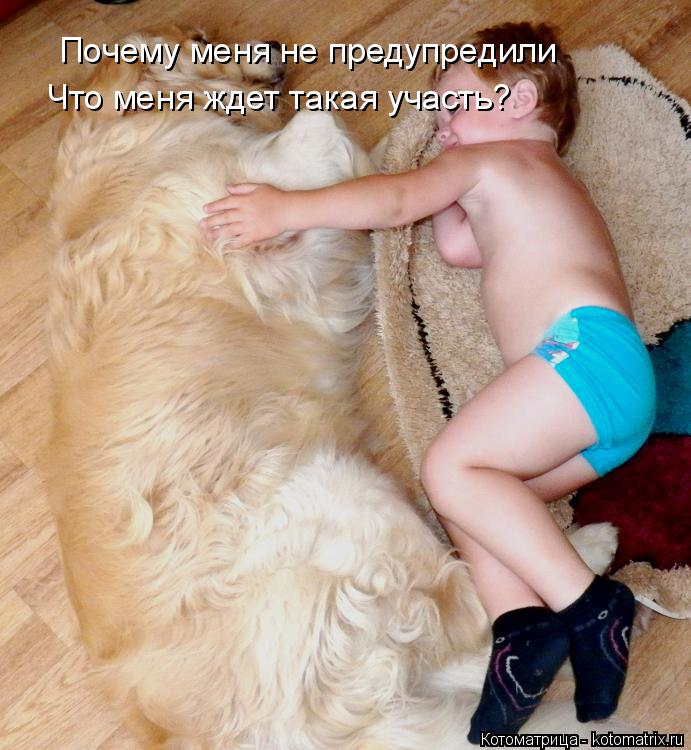 Почему меня не предупредили Что меня ждет такая участь?... Котоматрица: Почему меня не предупредили Что меня ждет такая участь?