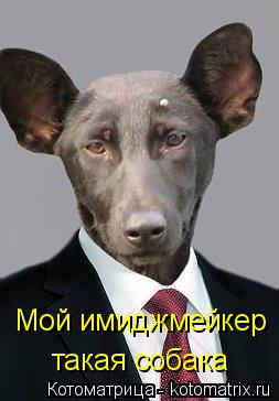 Мой имиджмейкер такая собака... Котоматрица: Мой имиджмейкер такая собака
