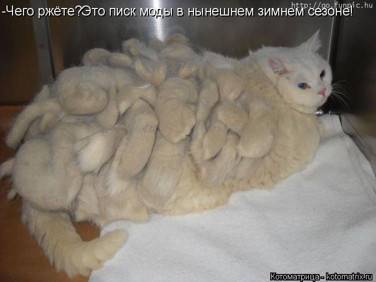 -Чего ржёте?Это писк моды в нынешнем зимнем сезоне!... Котоматрица: -Чего ржёте?Это писк моды в нынешнем зимнем сезоне!
