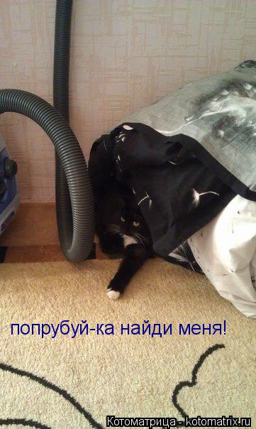 попрубуй-ка найди меня!... Котоматрица: попрубуй-ка найди меня!