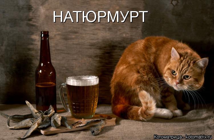 Котоматрица: НАТЮРМУРТ