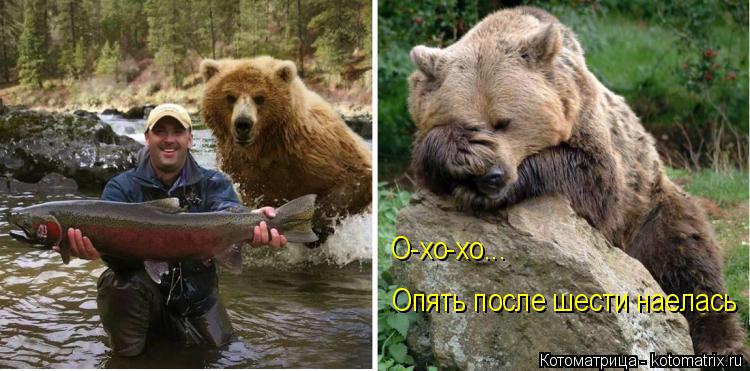 О-хо-хо... Опять после шести наелась... Котоматрица: О-хо-хо... Опять после шести наелась