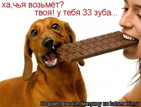 Котоматрица: ха,чья возьмёт? твоя! у тебя 33 зуба...