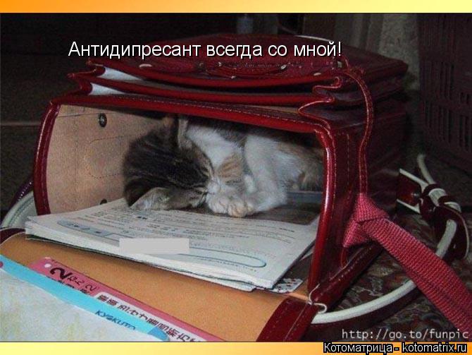 Антидипресант всегда со мной!... Котоматрица: Антидипресант всегда со мной!